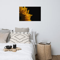 Sunflower in Corner Floral Nature Photo Loose Unframed Wall Art Prints
