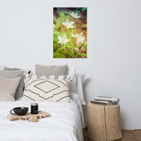 Tranquil Carolina Spring Beauty Floral Nature Photo Loose Unframed Wall Art Prints