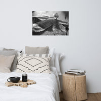 Frost Covered Leaf Black and White Botanical Nature Photo Loose Unframed Wall Art Prints