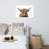 Golden Highland Cow Wildlife / Animal Photograph Loose Wall Art Prints