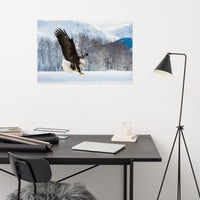 Adult Bald Eagle and Alaskan Winter Landscape Animal Wildlife Photograph Loose Wall Art Print