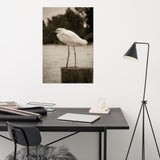Aged and Colorized Snowy Egret on Pillar Loose Wall Art Print