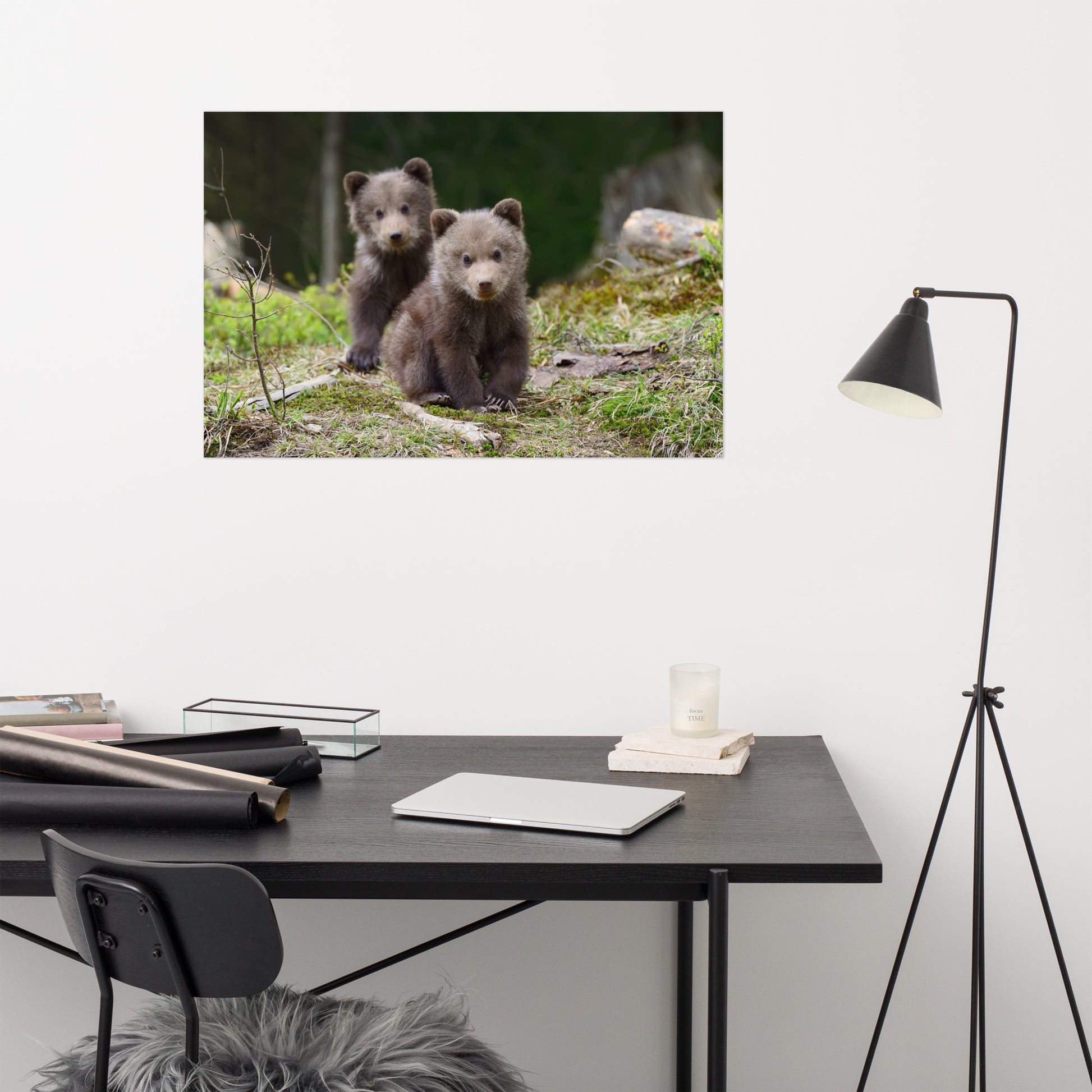 Play Room Wall Art: Adorable Grizzly Bear Cubs In The Trees Animal / Wildlife / Nature Photograph - Loose / Unframed / Frameable / Frameless Wall Art Print / Artwork