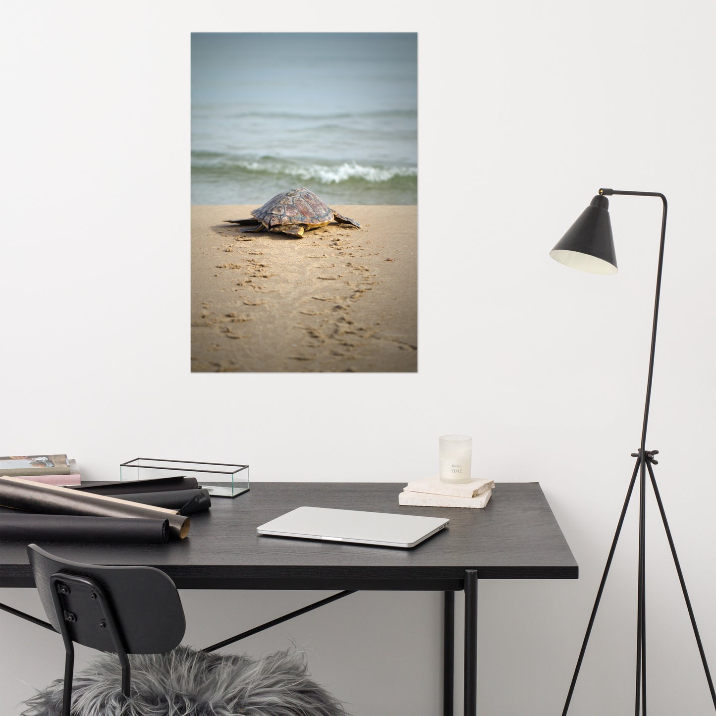 Inexpensive Large Wall Art: Sea Turtle Hatchling On The Shore Animal / Wildlife / Coastal / Nature Photograph Unframed / Loose / Frameless / Frameable Wall Art Prints - Artwork