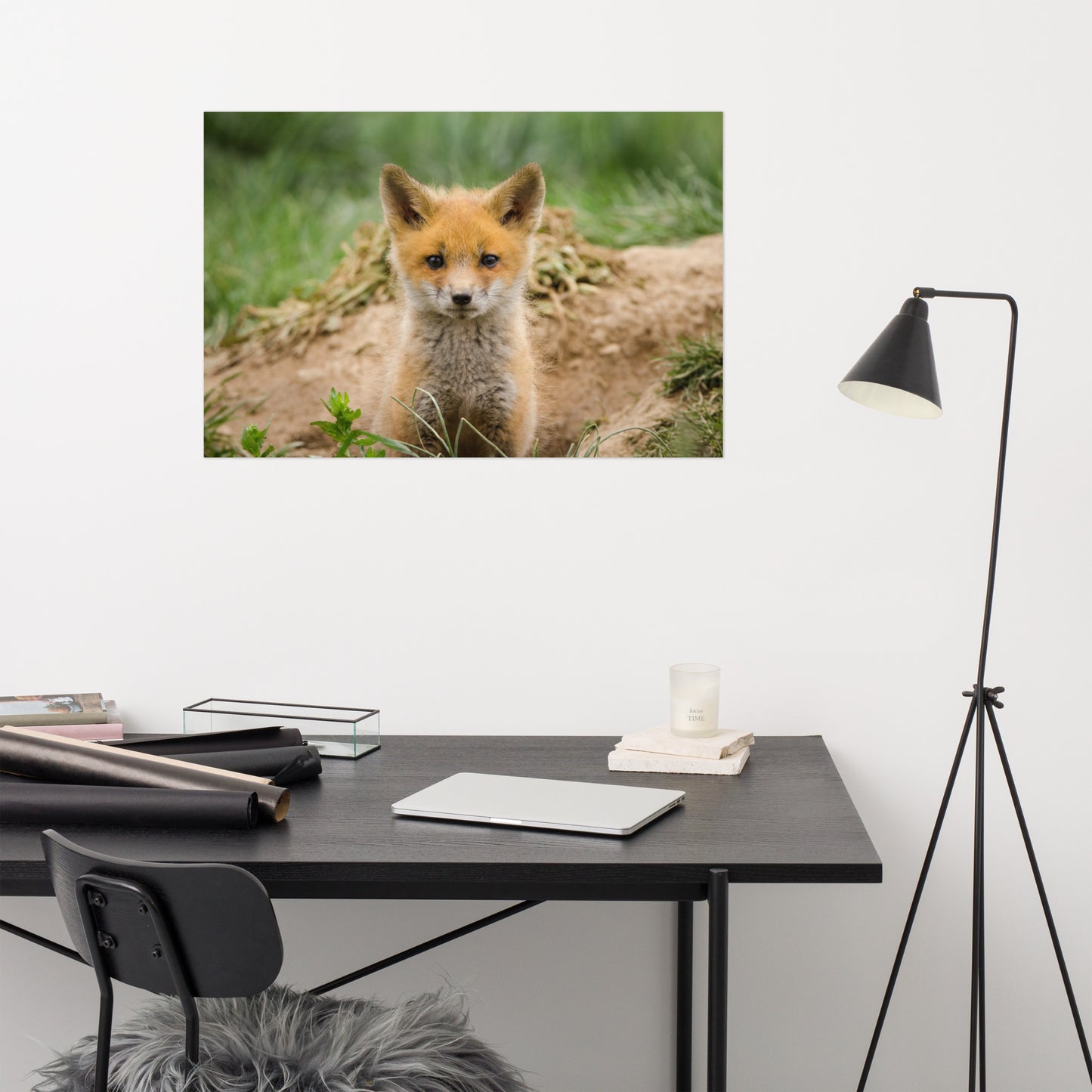 Bathroom Wall Pictures Ideas: Young Red Fox Kit - Animal / Wildlife / Nature Photograph Loose / Unframed / Frameless / Frameable Wall Art Print / Artwork