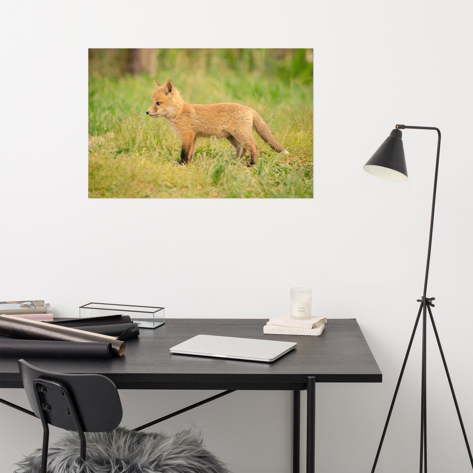 Infant Wall Decor: Fox Pup In Meadow - Animal / Wildlife / Nature Photograph Loose / Unframed / Frameless / Frameable Wall Art Print / Artwork