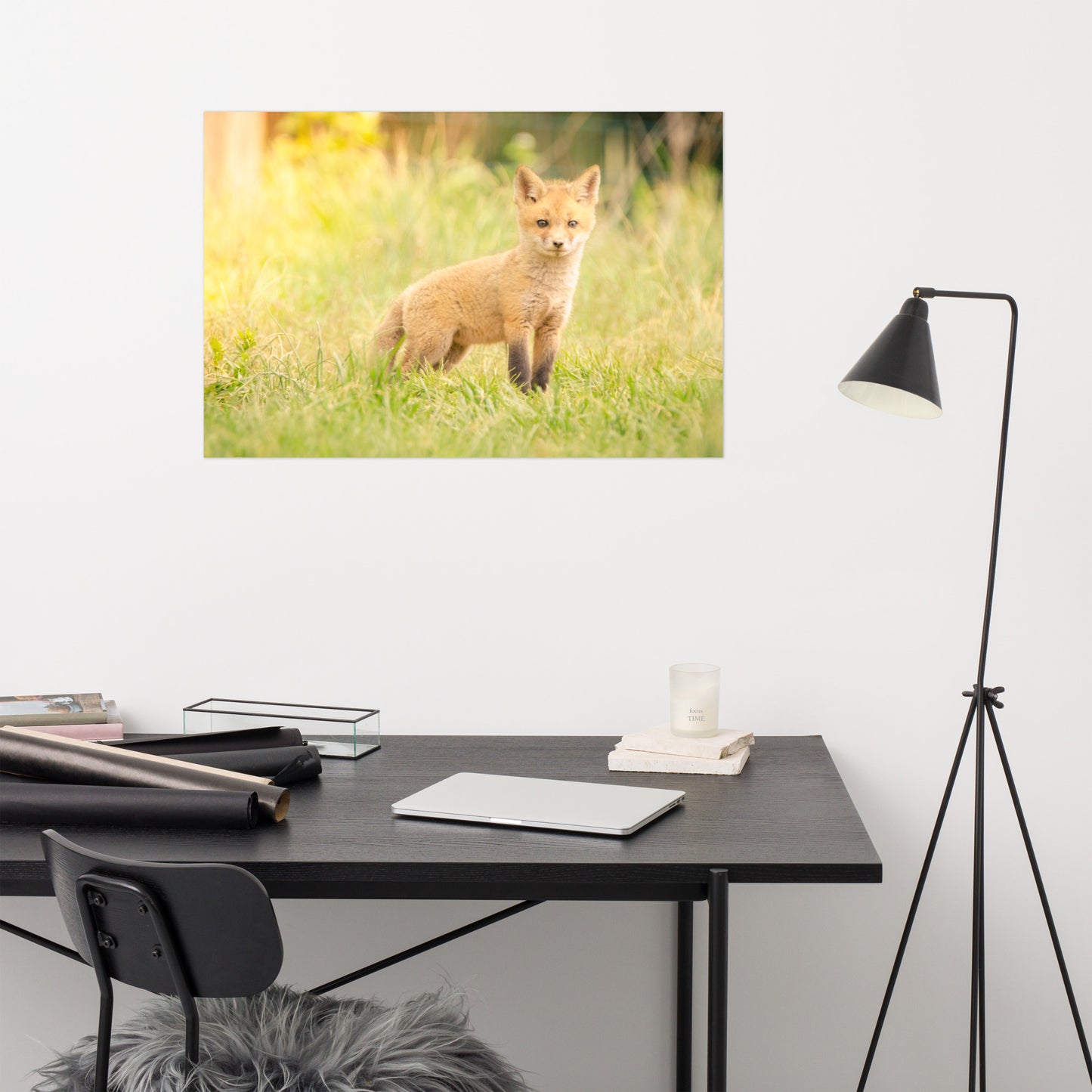 Baby Red Fox in the Sun Loose Wall Art Print