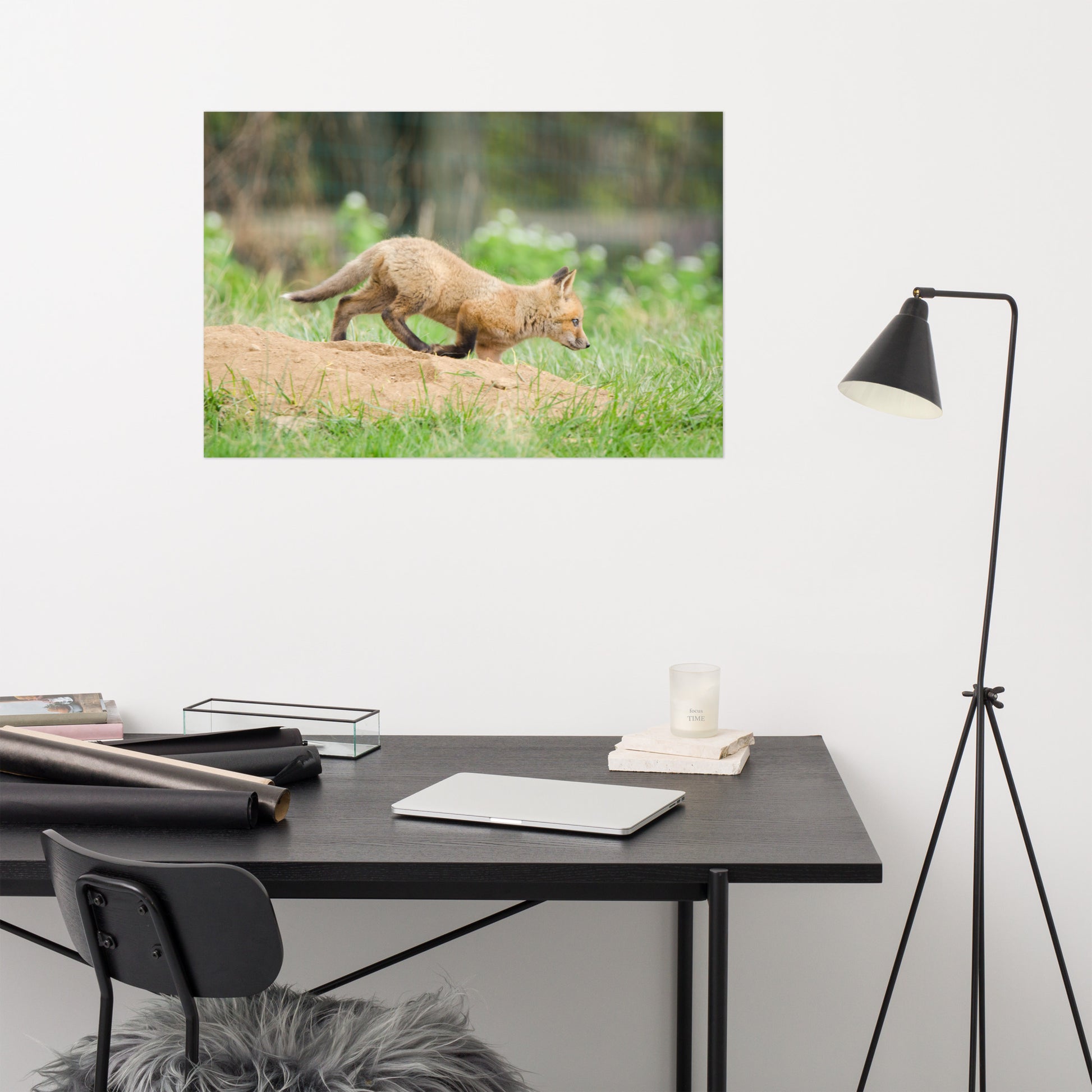 Animal Wall Hanging Nursery: Fox Pup In Meadow Animal / Wildlife Photograph Loose / Unframed / Frameless / Frameable Wall Art Prints