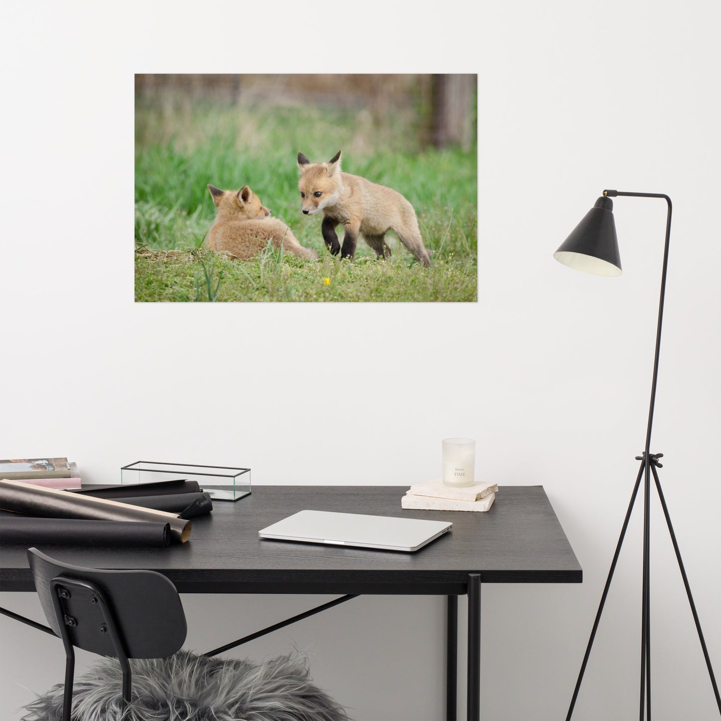 Rustic Farmhouse Bedroom Wall Decor: Fox Pups / Kits - Coming to Get You Animal / Wildlife Photograph Loose / Unframed / Frameless / Frameable Artwork