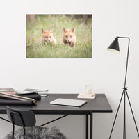 Baby Red Foxes Learning to Hunt Loose Wall Art Print