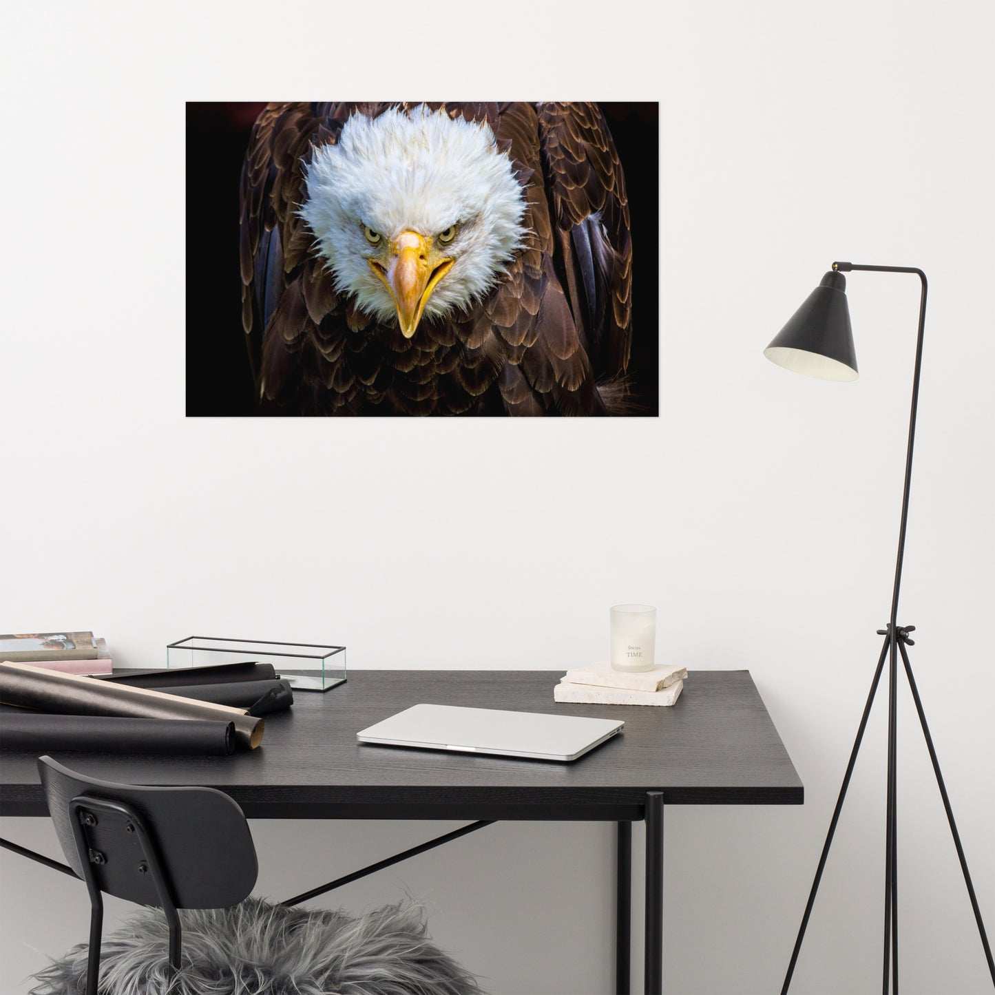 Bald Eagle Portrait Close-up Loose Wall Art Print