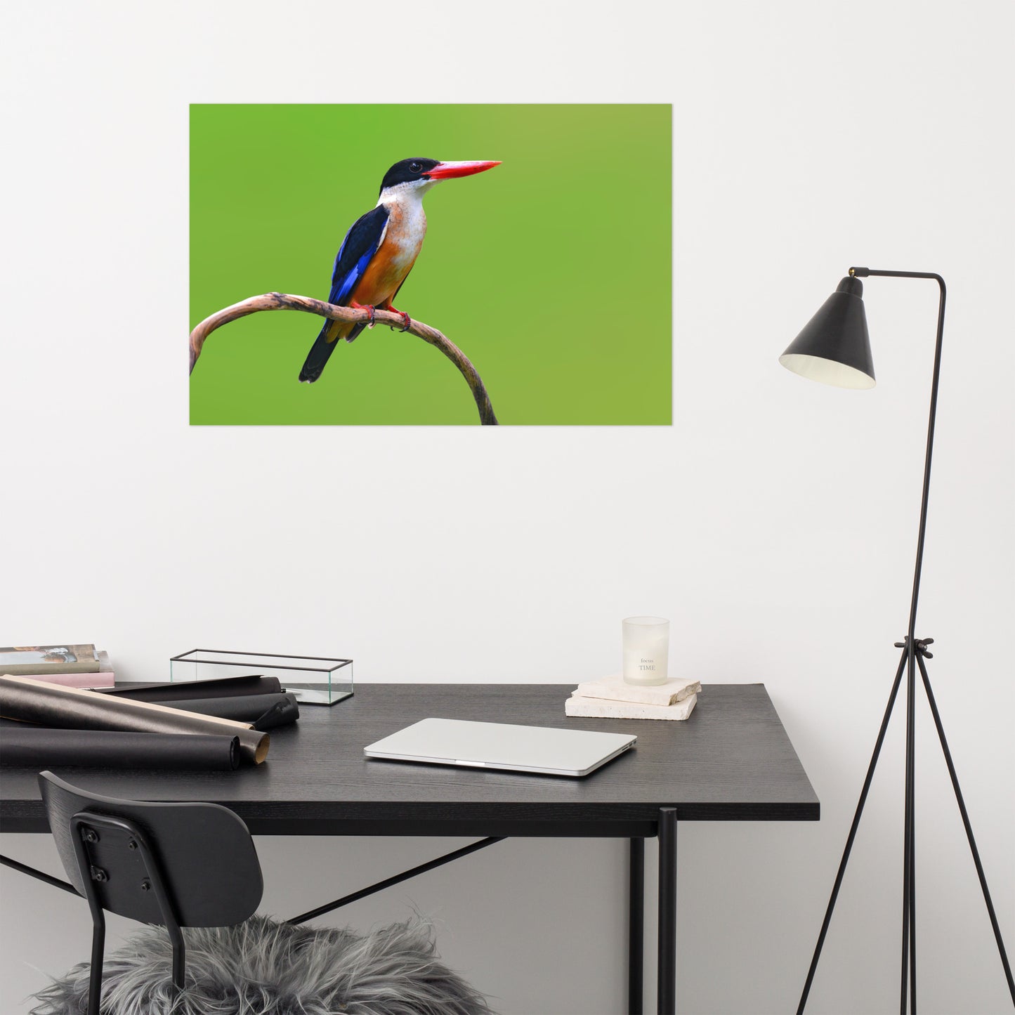 Black Capped Kingfisher Bird on Perch Loose Wall Art Print