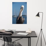 Bob The Pelican 3 Color Loose Wall Art Print