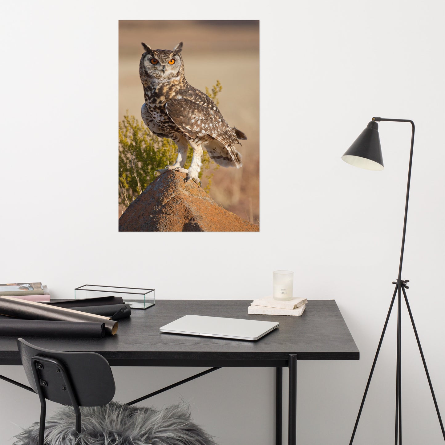 Cape Eagle Owl Rustic / Farmhouse Style Animal / Wildlife Photograph Loose Wall Art Print