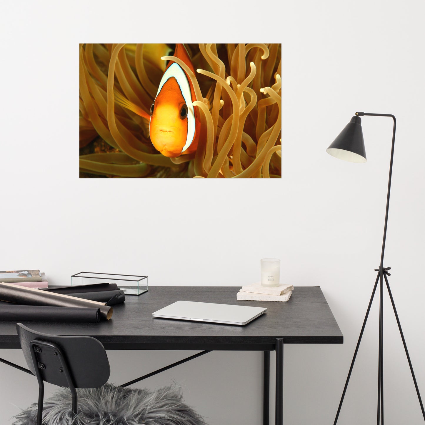 Close-up Orange Tropical Clownfish Face in Coral Animal Wildlife Photograph Loose Wall Art Print