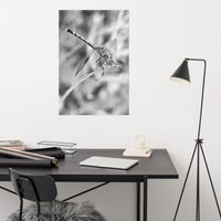Dragonfly Black and White Loose Wall Art Print
