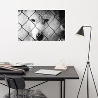 Dreams of Freedom Loose Wall Art Print