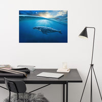 Dreamy Blue Whale Ocean Sunset Glory Rays Loose Wall Art Print