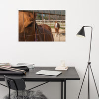 Fenced In Loose Wall Art Print