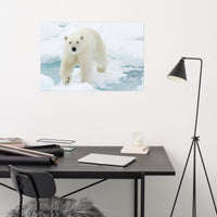 Giant White Polar Bear Walking On Icy Lake Loose Wall Art Print
