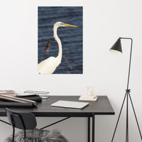 Great White Egret Loose Wall Art Print