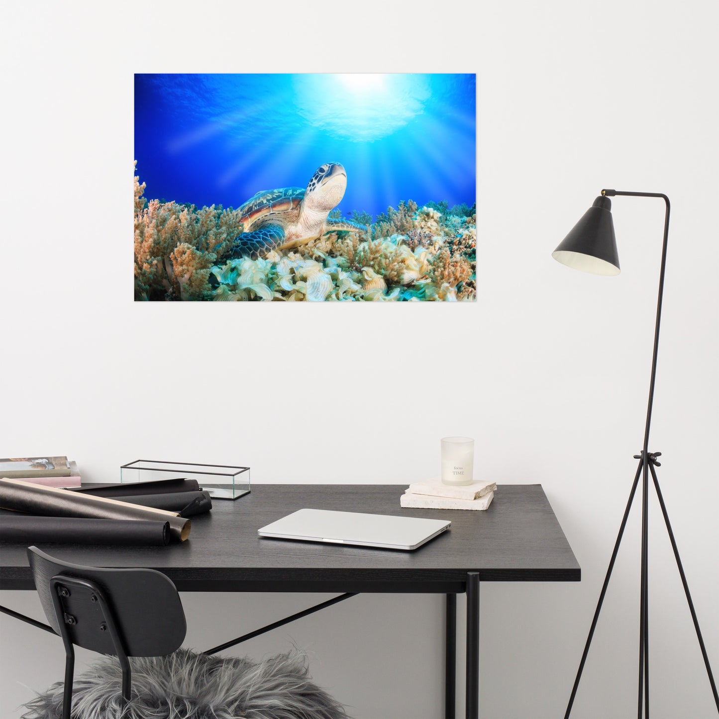 Green Sea Turtle In Tropical Coral Reef and Sunbeams Animal Wildlife Photograph Loose Wall Art Print