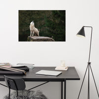 Howling White Wolf In The Forest Animal Wildlife Nature Photograph Loose Wall Art Print