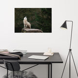 Howling White Wolf In The Forest Animal Wildlife Nature Photograph Loose Wall Art Print