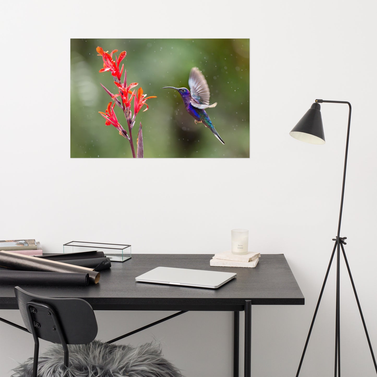 Hummingbird with Little Red Flowers Loose Wall Art Print