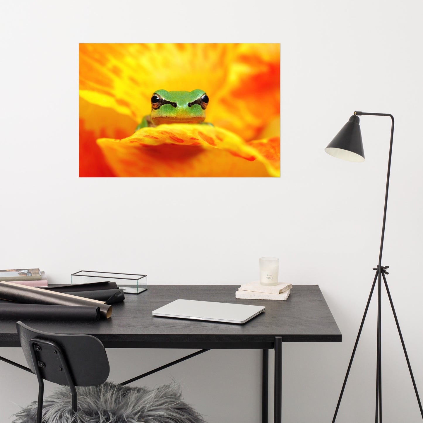 Hyla Green Frog on Yellow and Orange Flower Petals Wildlife Nature Photo Loose Wall Art Print