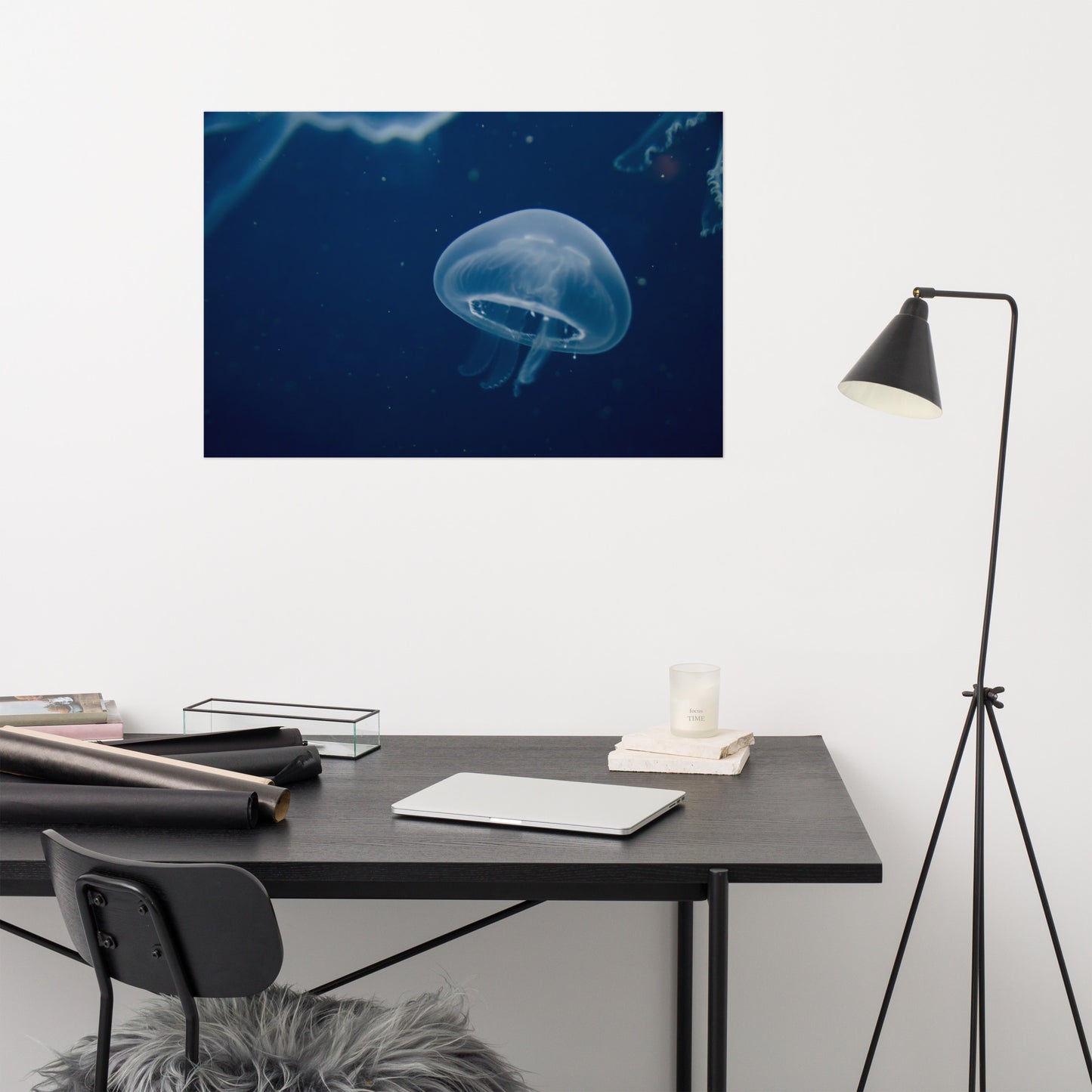 Small Blue Jelly Aquatic Wildlife Photograph Loose Wall Art Print