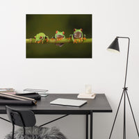 Three Tiny Green Red Eyed Tree Frog on Bamboo Branch Animal Wildlife Floral Nature Photograph Loose Wall Art Print