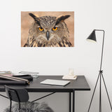 Close-up Yellow Eurasian Eagle Owl Wildlife Animal Loose Wall Art Print