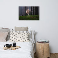 Brown Bear Walking Through Forest Wildlife Photo Loose Wall Art Prints