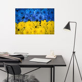 Blue and Yellow Chrysanthemums Nature Photo For Ukraine Refugees Loose Wall Art Print
