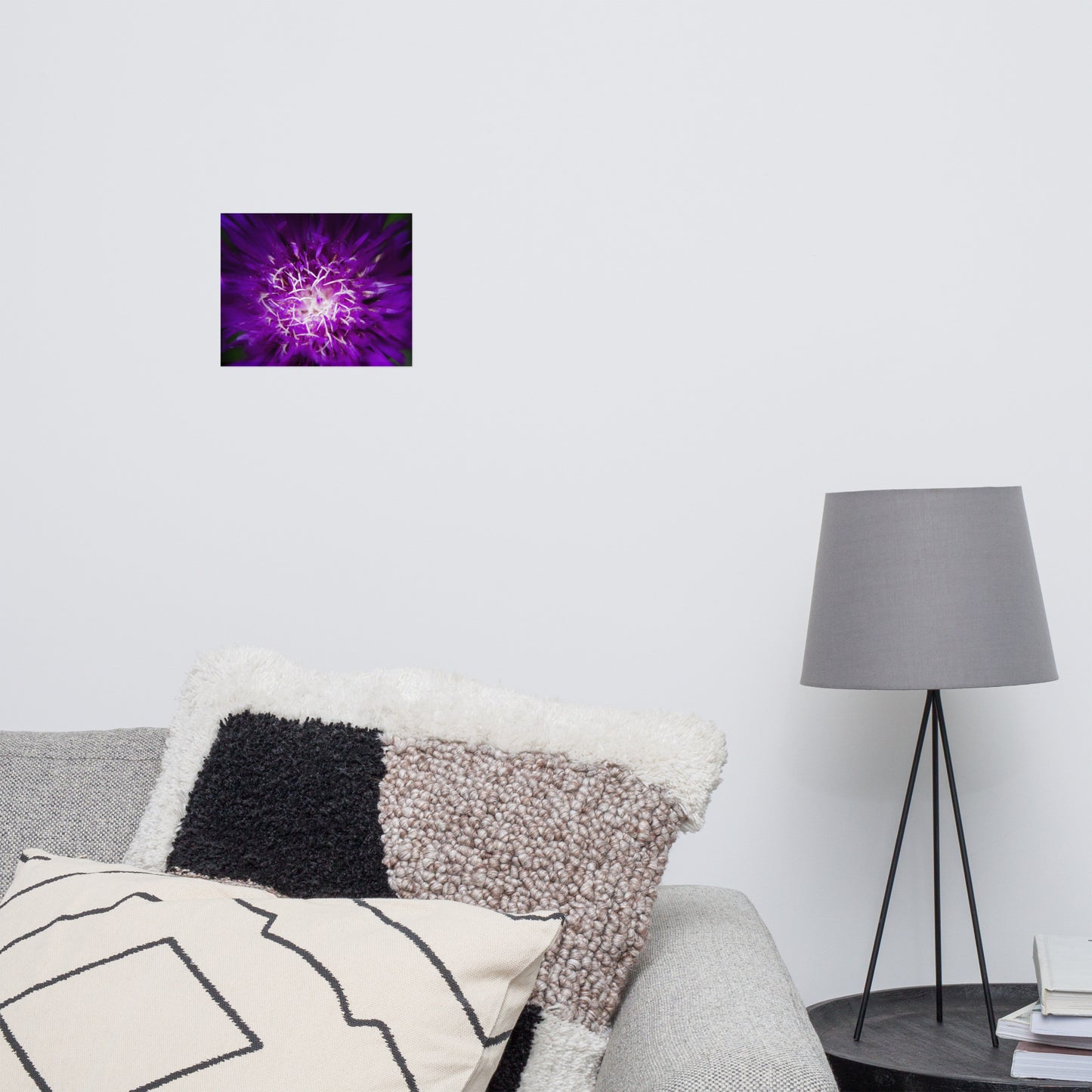 Minimalist Art Living Room: Dark Purple and White Aster Bloom Close-up - Botanical / Floral / Flora / Flowers / Nature Photograph Loose / Unframed / Frameless / Frameable Wall Art Print - Artwork