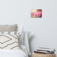 Be Still My Bleeding Heart Warm Summer Glow Floral Nature Photo Loose Unframed Wall Art Prints