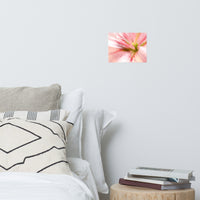 Center of the Stargazer Lily Floral Nature Photo Loose Unframed Wall Art Prints