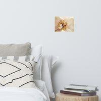 Eye of Peony Moody Midnight Floral Nature Photo Loose Unframed Wall Art Prints