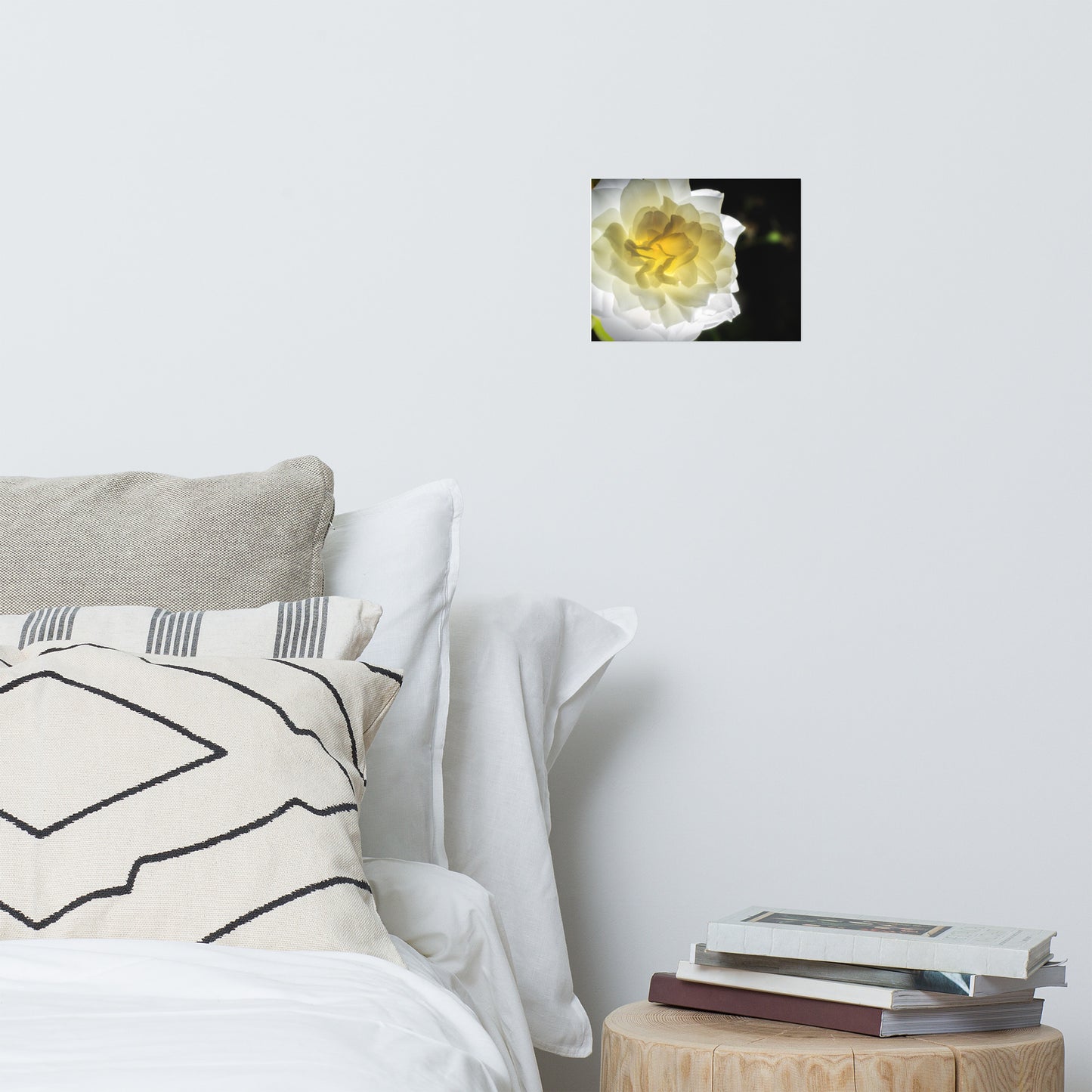 Glowing Rose 2 Floral Nature Photo Loose Unframed Wall Art Prints