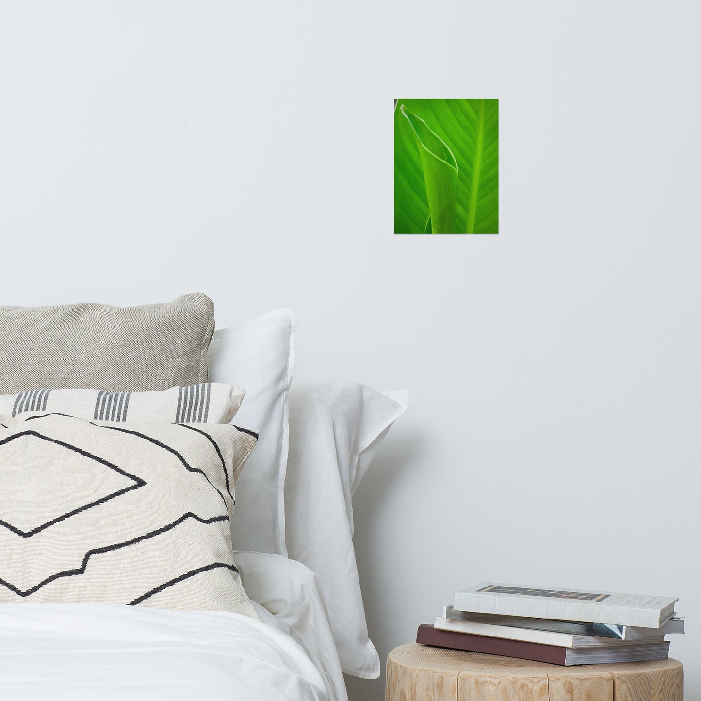 Leaves of Canna Lily Modern Farmhouse Style Botanical Nature Photo Loose Unframed Wall Art Prints