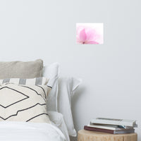 Peaceful Close-up Pink Lotus Petal Floral Nature Photo Loose Flower Wall Art Print