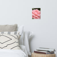 Pink Passion Floral Nature Photo Loose Unframed Wall Art Prints