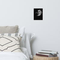 Rose on Black Black and White Floral Nature Photo Loose Unframed Wall Art Prints