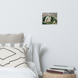 Seaweed and Shells Coastal Nature Photo Loose Unframed Wall Art Prints
