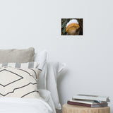 Snow Fungus Botanical Nature Photo Loose Unframed Wall Art Prints