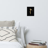 States of Erosion Image 4 Whelk Shell Coastal Nature Photo Loose Unframed Wall Art Prints
