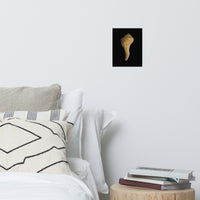 States of Erosion Image 9 Whelk Shell Coastal Nature Photo Loose Unframed Wall Art Prints