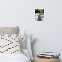 Summer Shadows Botanical Nature Photo Loose Unframed Wall Art Prints