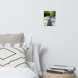 Summer Shadows Botanical Nature Photo Loose Unframed Wall Art Prints